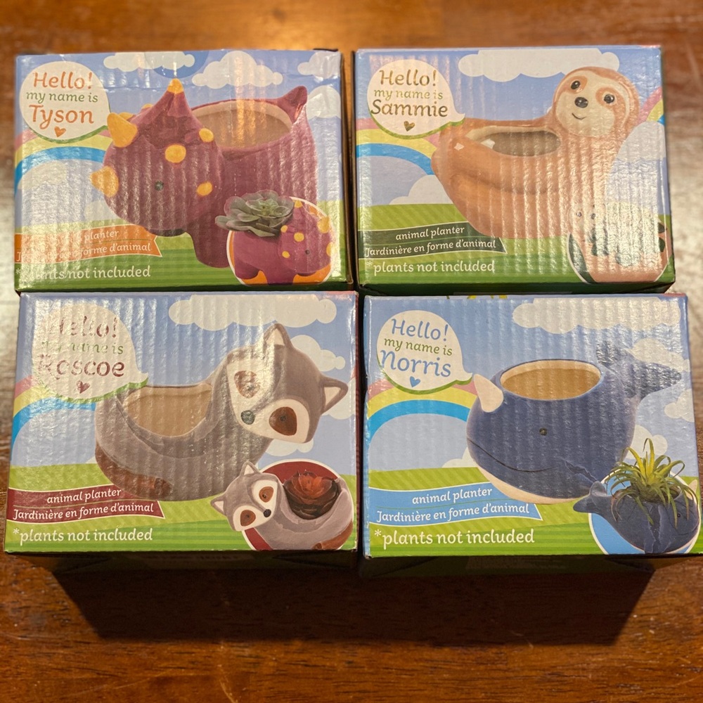 Mini Succulent/Dwarf Plant Planters